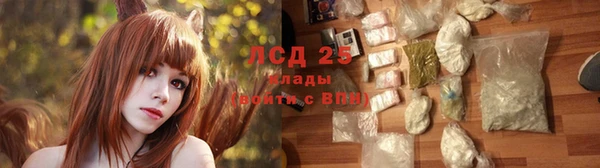 спиды Михайловка