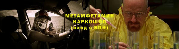 гидра Михайловск