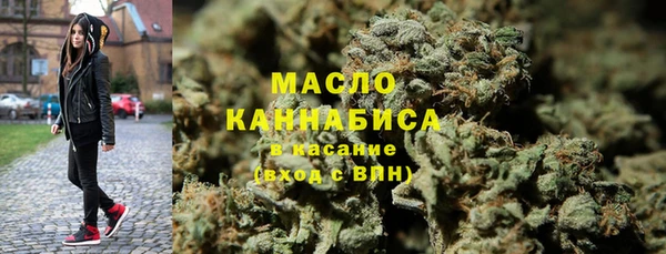 гидра Михайловск