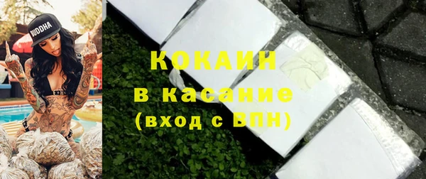 гидра Михайловск