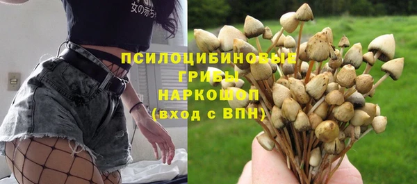 гидра Михайловск