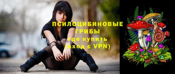 дживик Михайлов