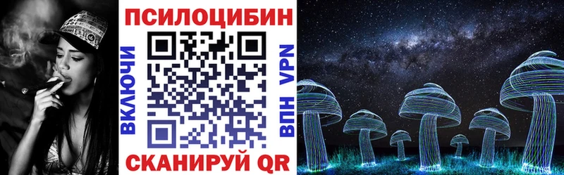 Галлюциногенные грибы Magic Shrooms  Чекалин 